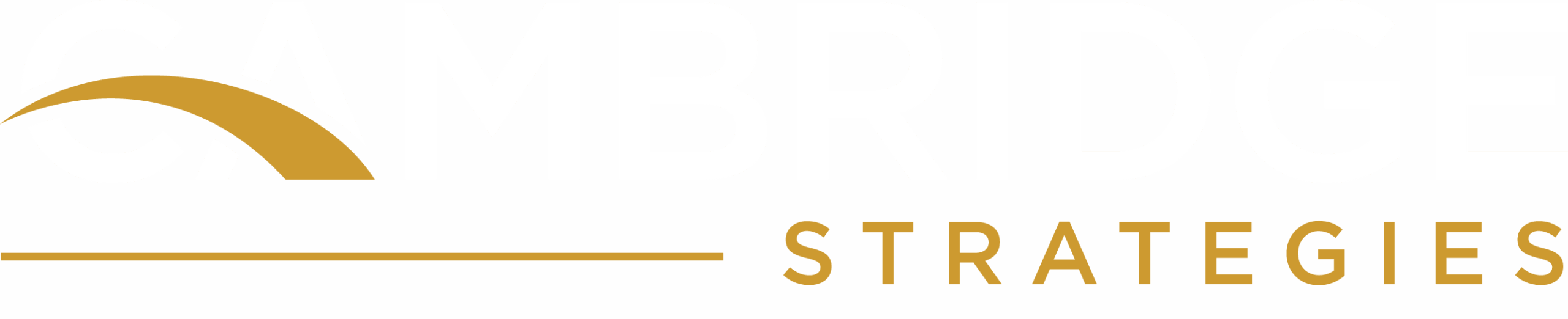 Cambridge Strategies